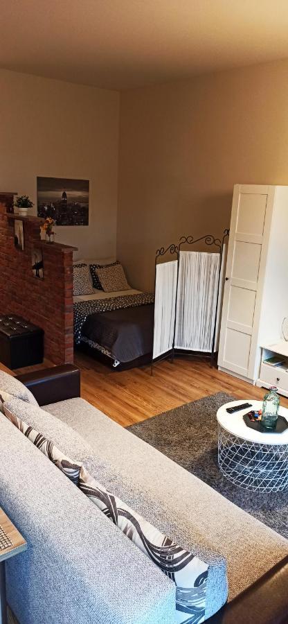 Studio Flat In A Historical XIX C. Building. Kaunas Buitenkant foto