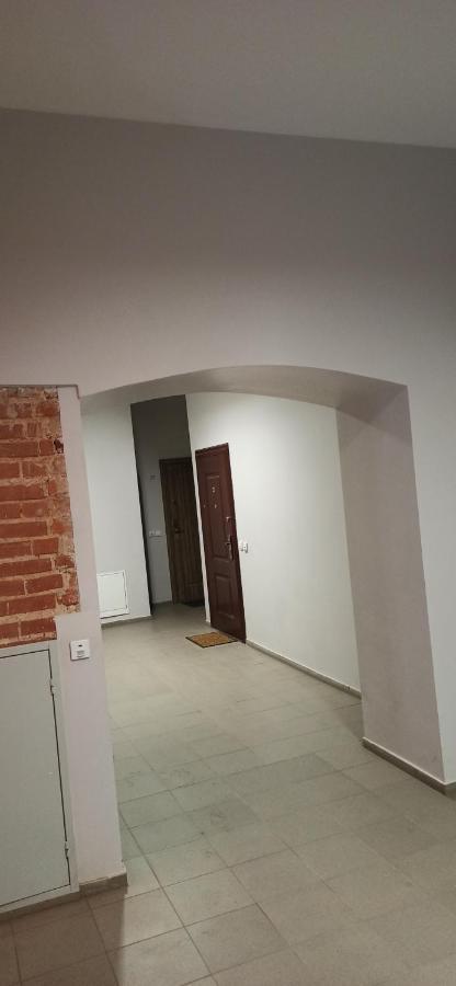Studio Flat In A Historical XIX C. Building. Kaunas Buitenkant foto